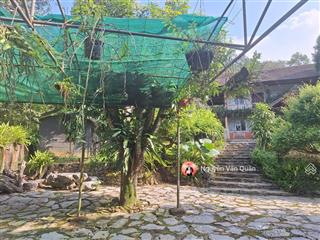 Siêu phẩm nhà vườn 4000m có 400m ont  bám suối cực đẹp  giá cực rẻ tại lâm sơn, lương sơn!