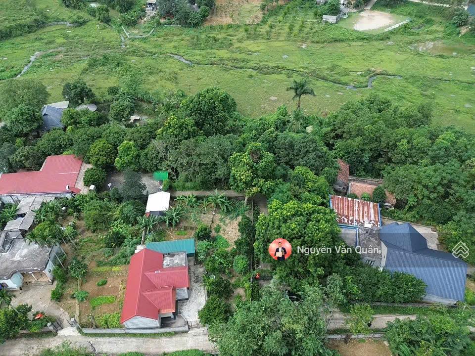 Siêu phẩm đất nghỉ dưỡng cư yên, view đồng đẹp 1870m2 (200m2 thổ cư) chỉ 3.5tr/m2!