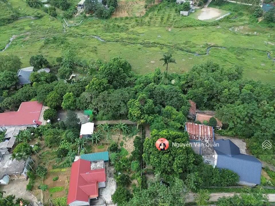 Siêu phẩm đất nghỉ dưỡng cư yên, view đồng đẹp 1870m2 (200m2 thổ cư) chỉ 3.5tr/m2!