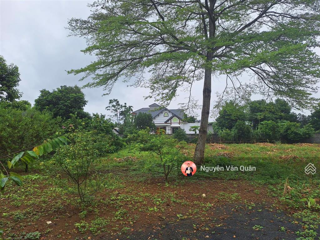 Đất đẹp! giá rẻ! sát kcn nhuận trạch! giá chỉ hơn 2 triệu! 2045m2 100m2 ont