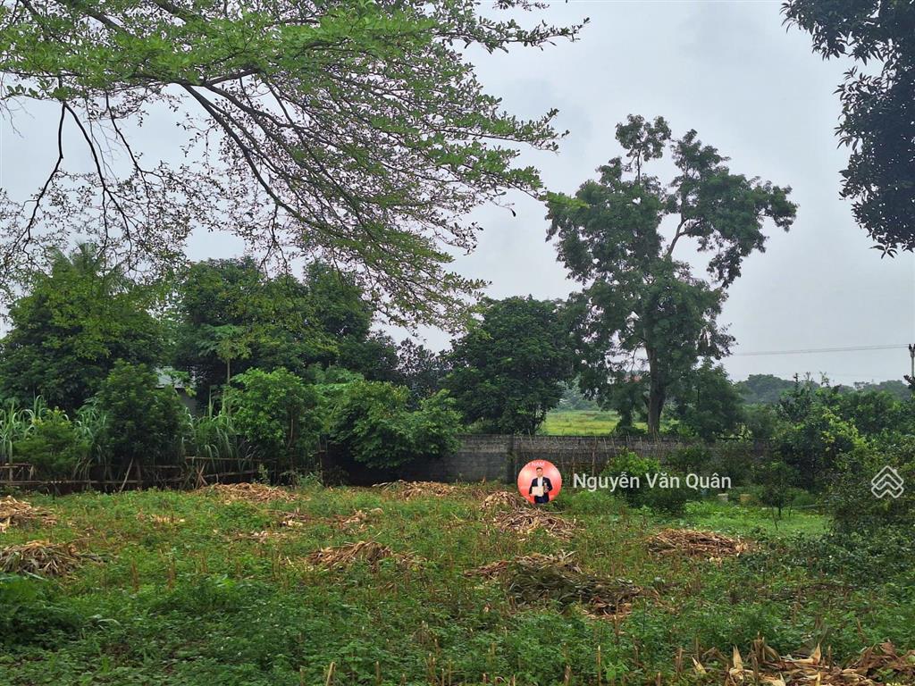 Đất đẹp! giá rẻ! sát kcn nhuận trạch! giá chỉ hơn 2 triệu! 2045m2 100m2 ont