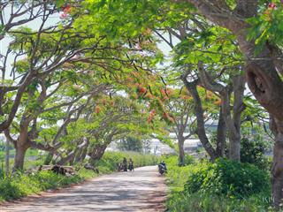 Cơ hội sở hữu 35m mặt tiền, sâu 30 tổng 1050m2 đất quảng lập  sẵn sổ riêng  giá đầu tư