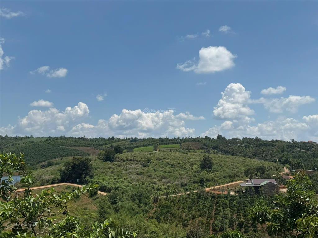 2,5ha hơn 200m mặt tiền, 140m mặt nước, giáp hồ, giá chỉ 360tr/sào thương lượng