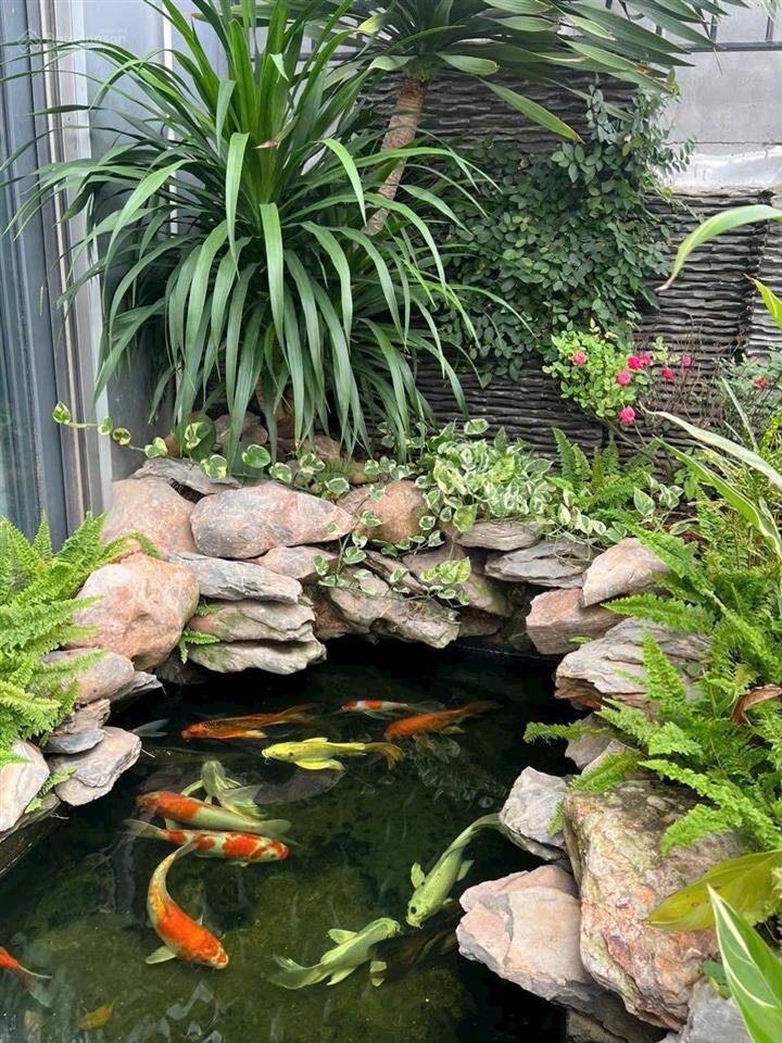 1 căn hiếm có văn khê 55m2. mt 4.6m 7 tầng thông sàn thang máy. lô đầu đốc kinh doanh. nhỉnh 15 tỷ
