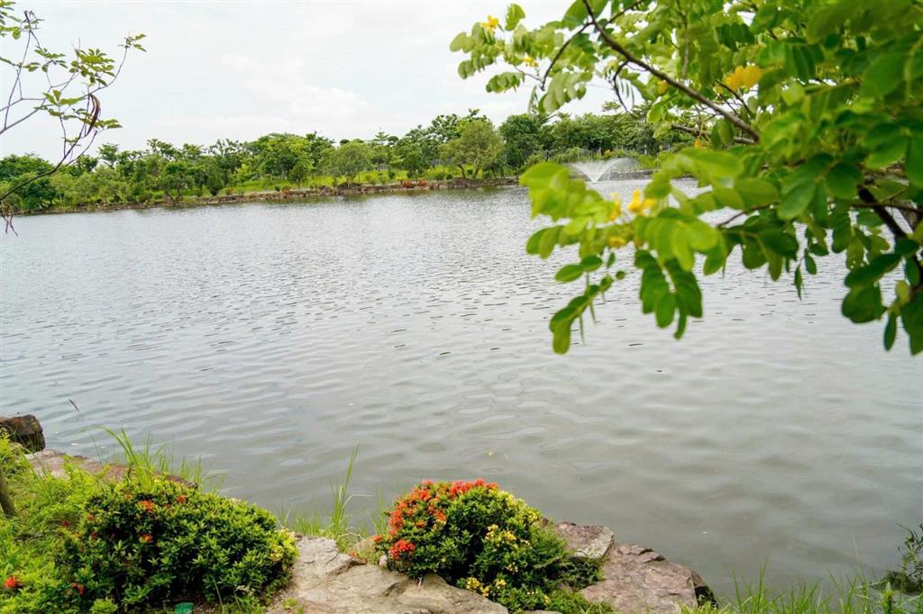 Chính chủ bán liền kề lk6 view hồ điều hoà vườn hồng alo 0945 288 ***