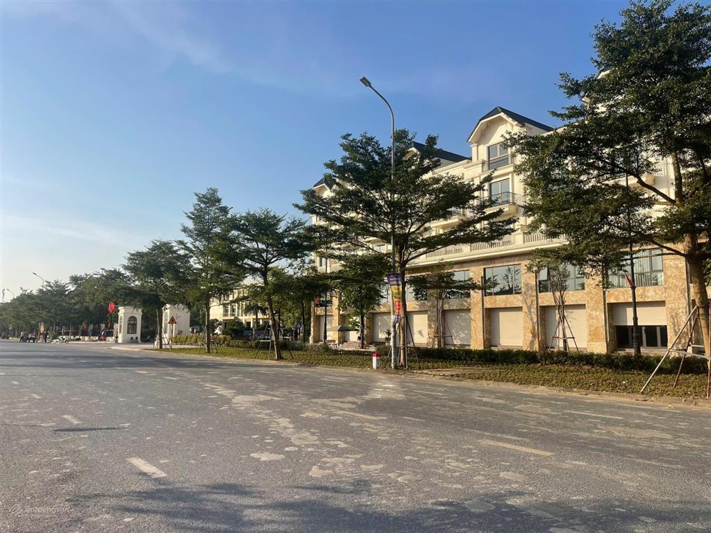 Chính chủ gửi bán căn shophouse cl6, cl11 mặt chính trục 286 dự án kim đô city