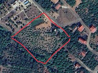 Bán đất quốc lộ 31, 2,1 tỷ, 2906,6m2, chính chủ, hot!