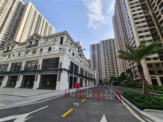 Sở hữu shophouse 4 tầng 1 tum vinhomes dòng tiền đều  chỉ từ 250 triệu/m²