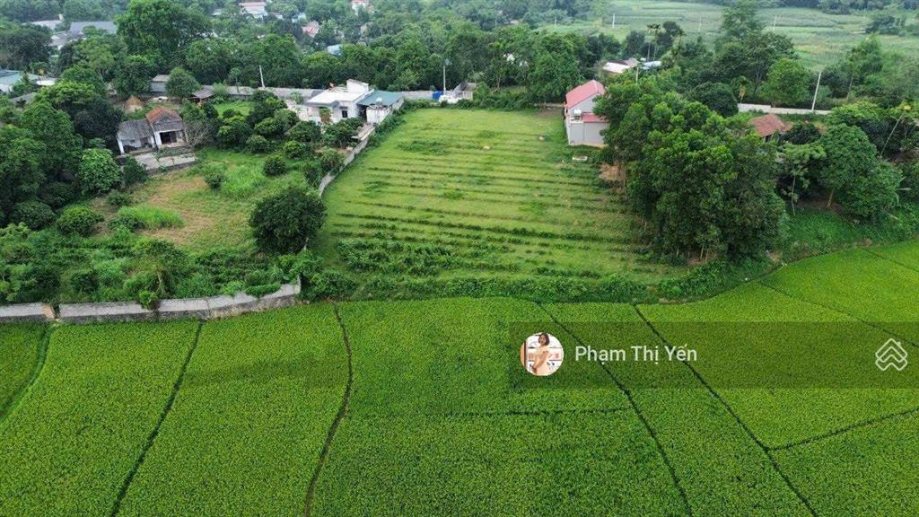 Chuyển nhượng lại mảnh đất view cánh đồng cực thoáng đẹp 2000m2/100m2 tc tại lương sơn hoà bình