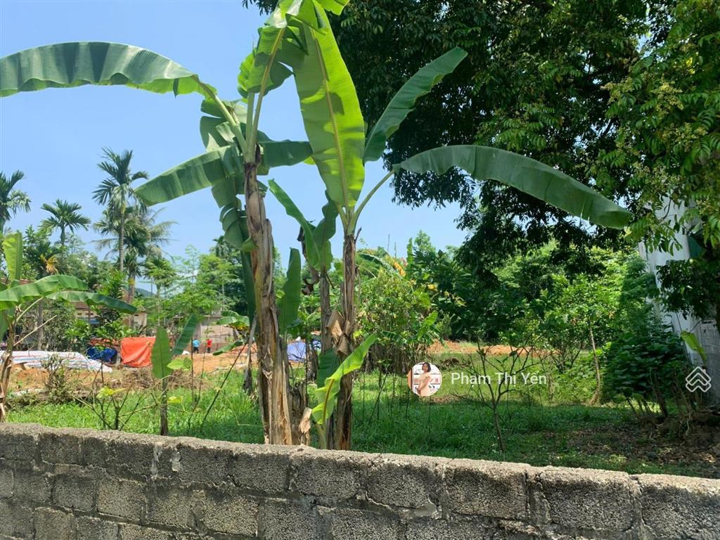 946m2 có 300m2 tc mặt tiền 20m tại cao dương, lương sơn, hoà bình. gần trục chính liên xã