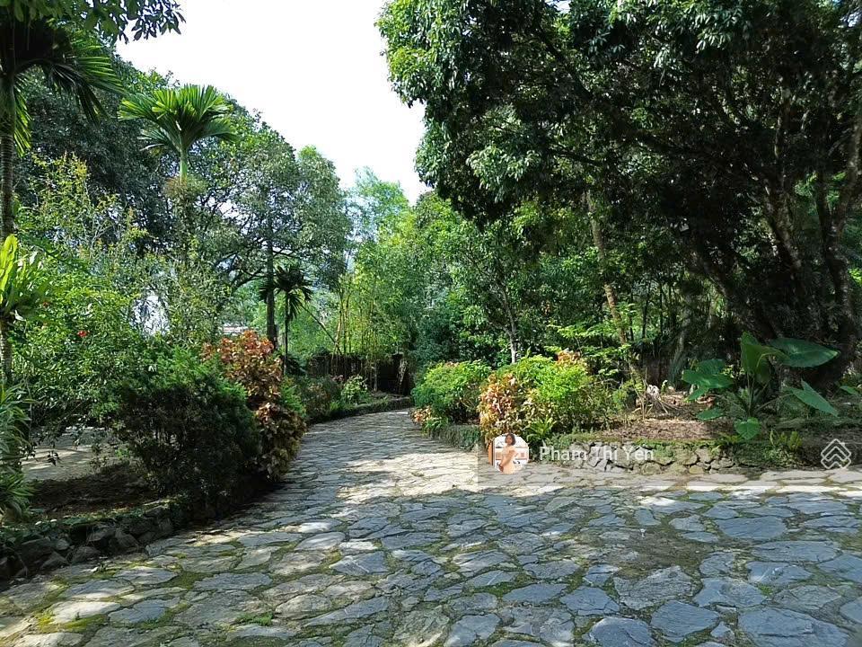 Nhà vườn tại lâm sơn, lương sơn đường ql6 đối diện sân gôn phượng hoàng 3936m/400m ont hơn 2tr/m
