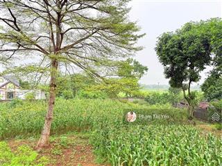 Chuyển nhượng 2.045m² (100m² thổ cư) tại trung tâm xã cư yên, lương sơn, hòa bình. đường thông