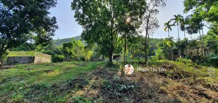 Chủ gửi bán lô đất nghỉ dưỡng 2 mặt đường trước, sau gần sân gôn phượng hoàng có 2208m2/400m2 ont