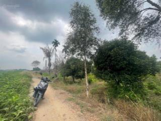 Bán đất tại đông thạnh, hóc môn, 5,5tỷ, 2300m2, mặt tiền rộng, vị trí đắc địa