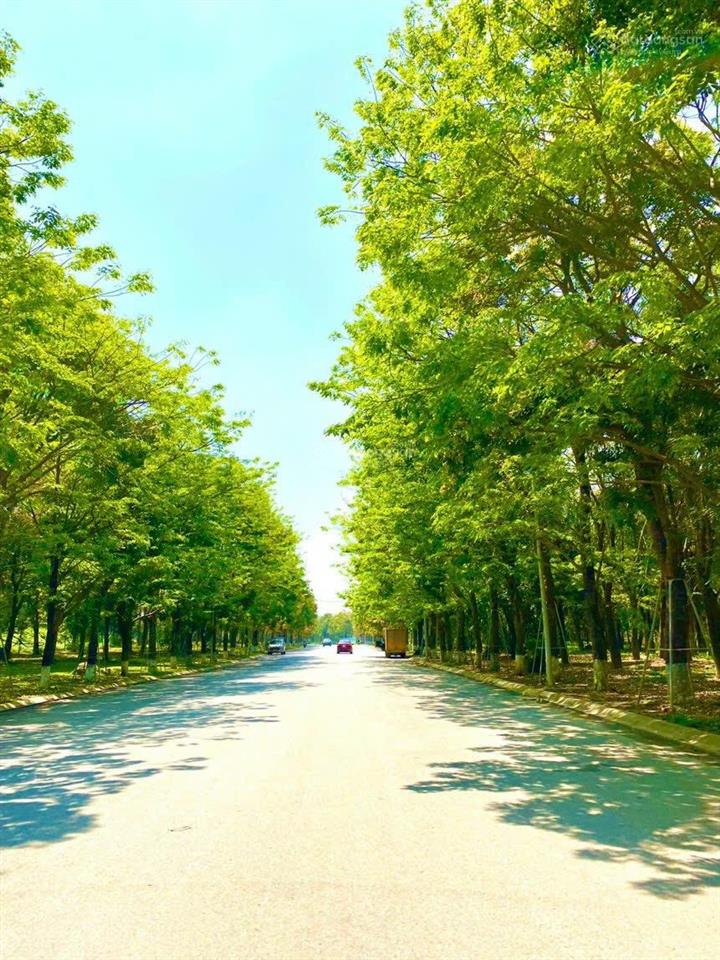Bán biệt thự đơn lập vườn tùng ecopark biệt thự ecopark 420 m2 vị trị đẹp full nội thất thêm 80m2