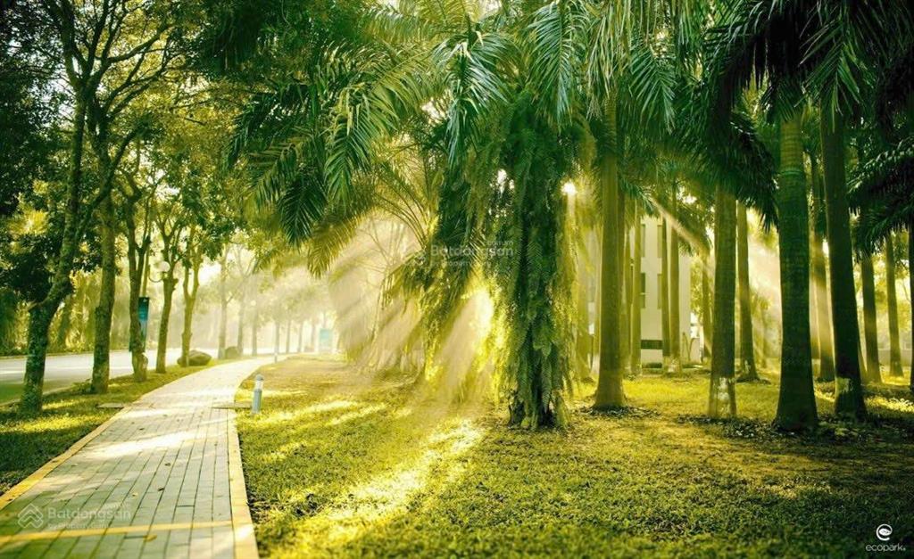 Bán biệt thự đơn lập vườn tùng ecopark biệt thự ecopark 420 m2 vị trị đẹp full nội thất thêm 80m2