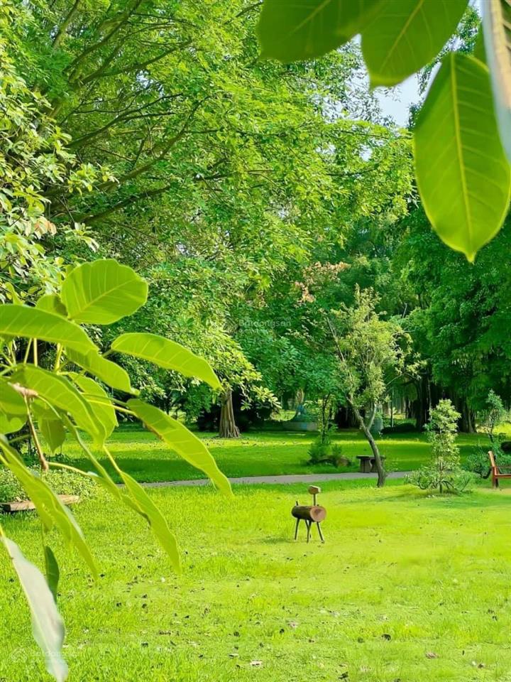 Bán biệt thự đơn lập vườn tùng ecopark biệt thự ecopark 420 m2 vị trị đẹp full nội thất thêm 80m2