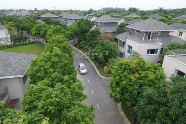 Bán biệt thự đơn lập vườn tùng ecopark biệt thự ecopark 420 m2 vị trị đẹp full nội thất thêm 80m2
