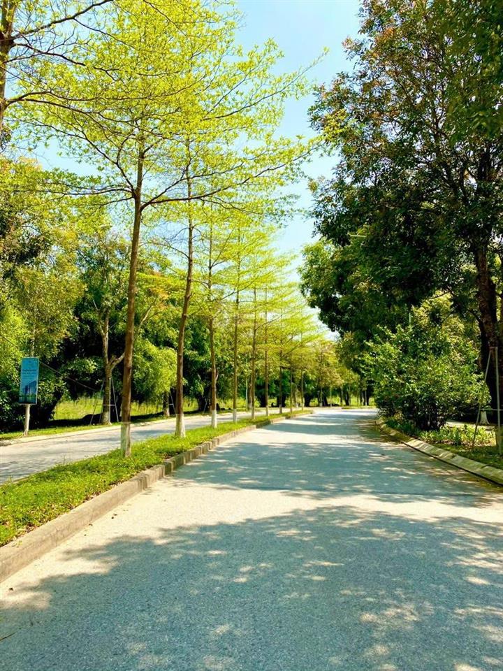 Bán căn góc nhà phố vườn thủy trúc ecopark 90m2, vị trí đẹp giá tốt có sổ thuỷ trúc 01view vườn dừa