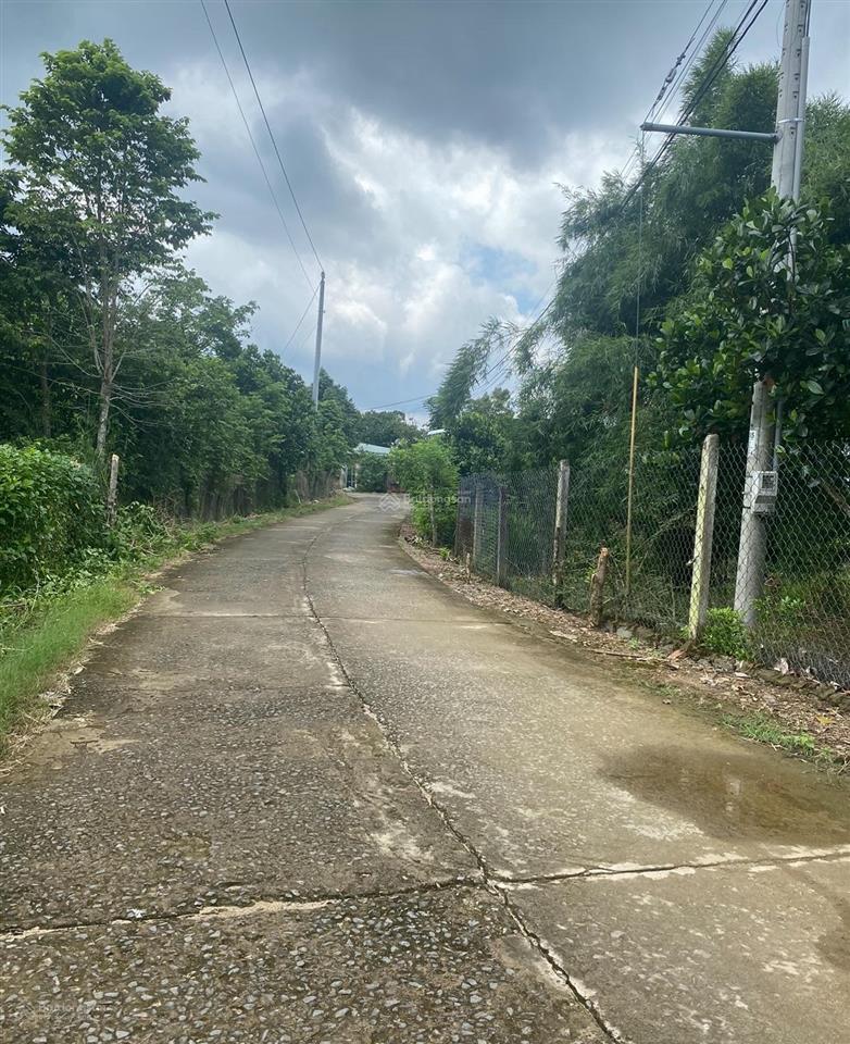 Bán vườn sr và mít cho thu 1,6 mẫu tại phú thịnh, giá siêu hời