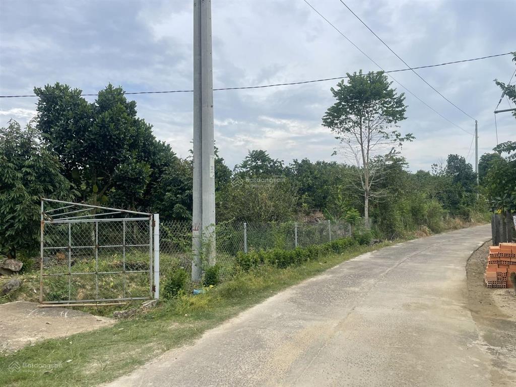 Bán vườn sr và mít cho thu 1,6 mẫu tại phú thịnh, giá siêu hời