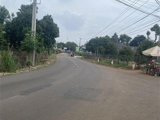 Bán 5 sào có 200 tc, tân phong, ql56 p hàng gòn, tp. lk đồng nai