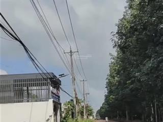 Bán nền nhựa kinh doanh bầu sen xuân lập đồng nai