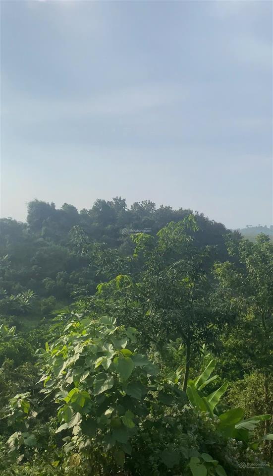 Bán 6,6 sào view nghỉ dưỡng tại bầu môn p. hàng gòn đồng nai. giá rẻ đầu tư