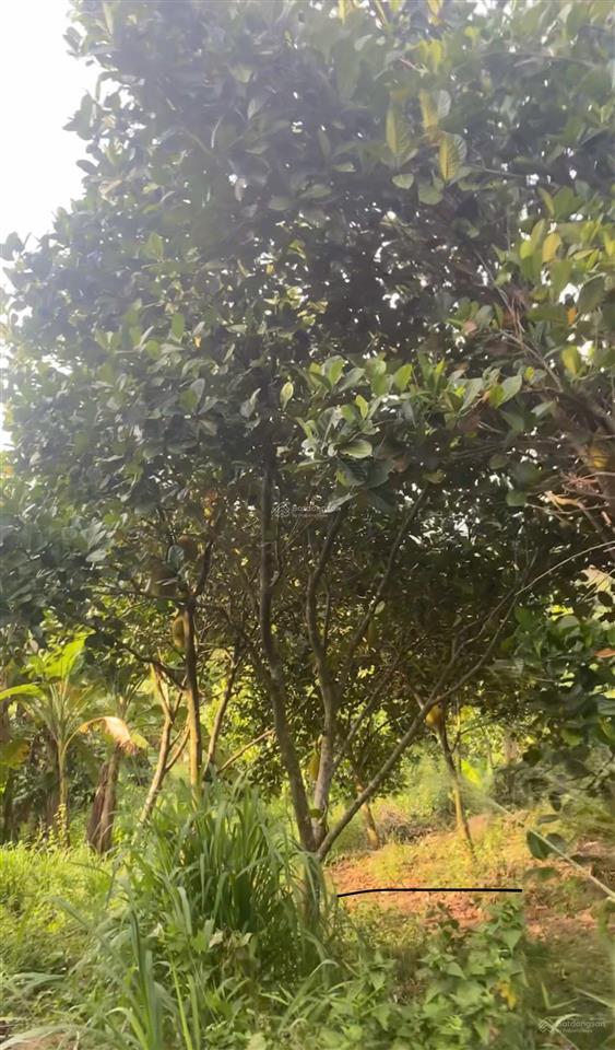 Bán 6,6 sào view nghỉ dưỡng tại bầu môn p. hàng gòn đồng nai. giá rẻ đầu tư