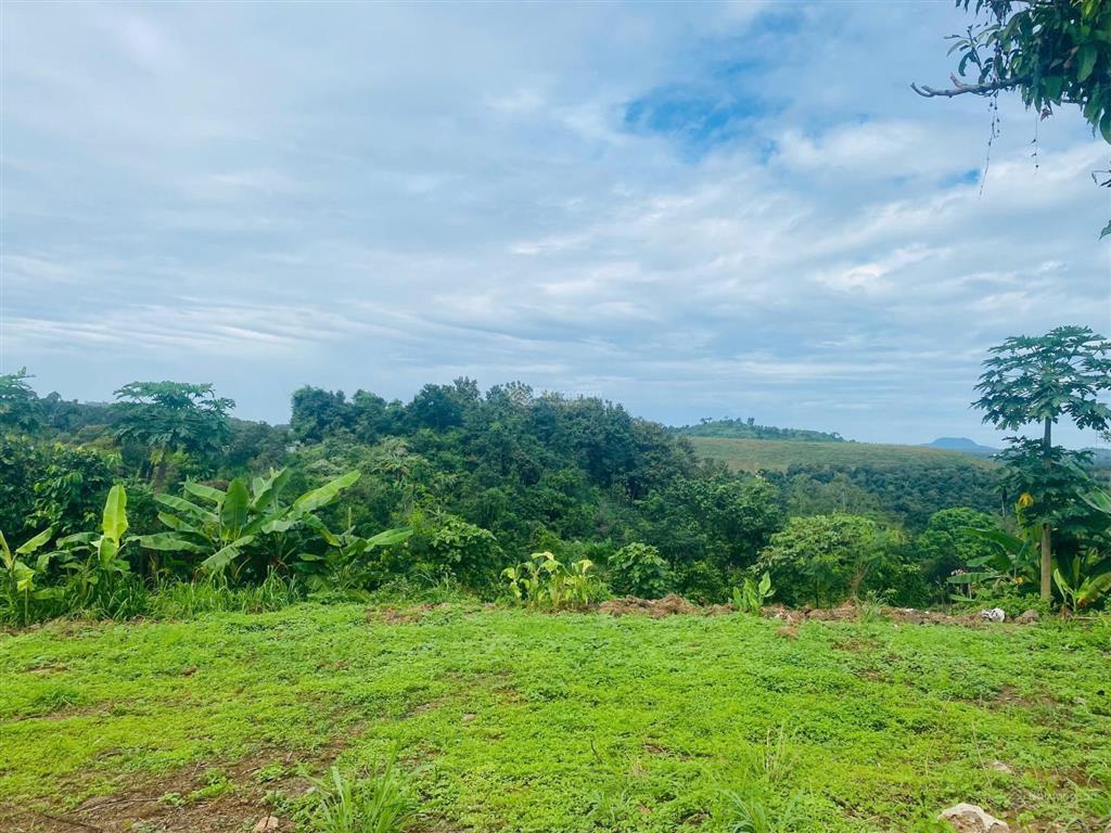 Bán 6,6 sào view nghỉ dưỡng tại bầu môn p. hàng gòn đồng nai. giá rẻ đầu tư