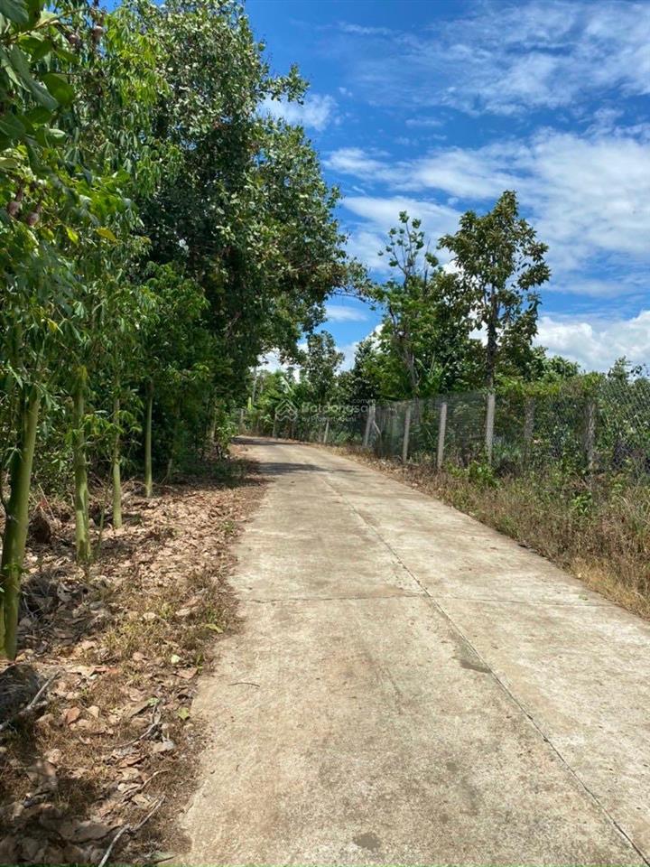 Bán 3,5 sào mt bê tông tại xã phú lộc cách nhựa 50m thông thương