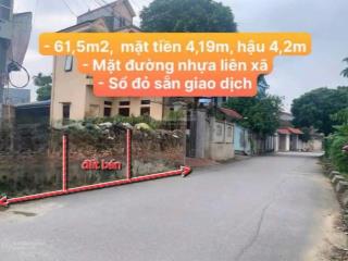 Trục chính bắc vọng, bắc phú , sóc sơn  đường oto tránh  giá bán nhanh