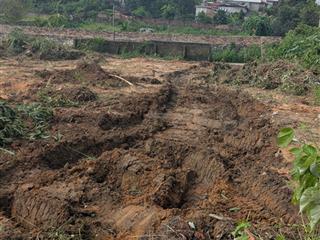 Bán nhanh đất 1000m2 tại mạo khê mt 26m, ngõ rộng cho nđt tách thửa, xây biệt thự