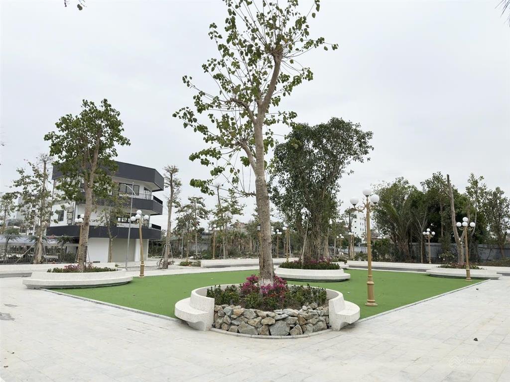 Hàng chủ đầu tư  sổ đỏ chuyển nhượng dự án đấu giá đông dương, đức thượng