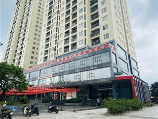 Bán căn penthouse 407,7m2, nhà thô