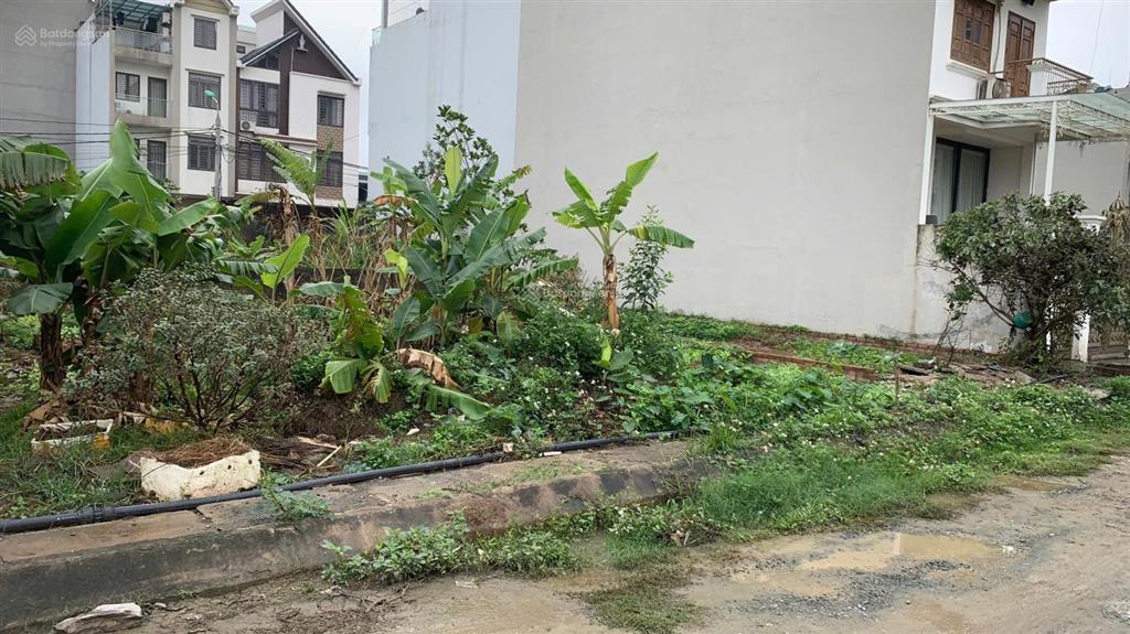 Bán đất biệt thự dự án tân việt tower, hoài đức, hà nội