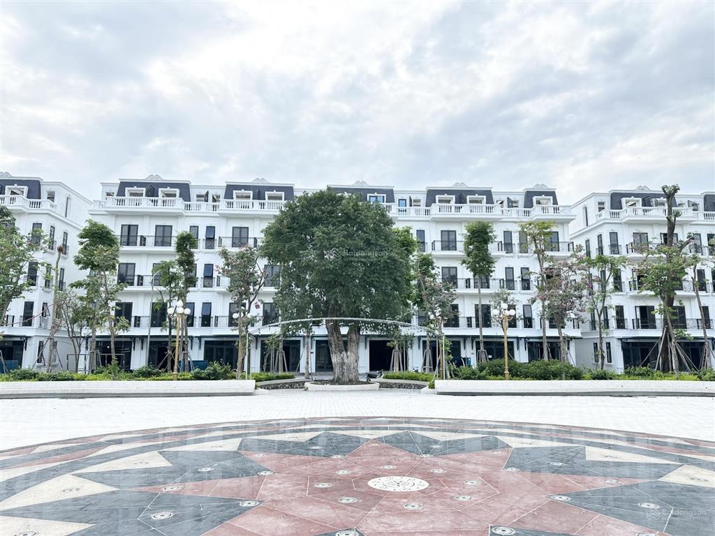 Hàng chủ đầu tư  sổ đỏ chuyển nhượng dự án đấu giá đông dương, đức thượng