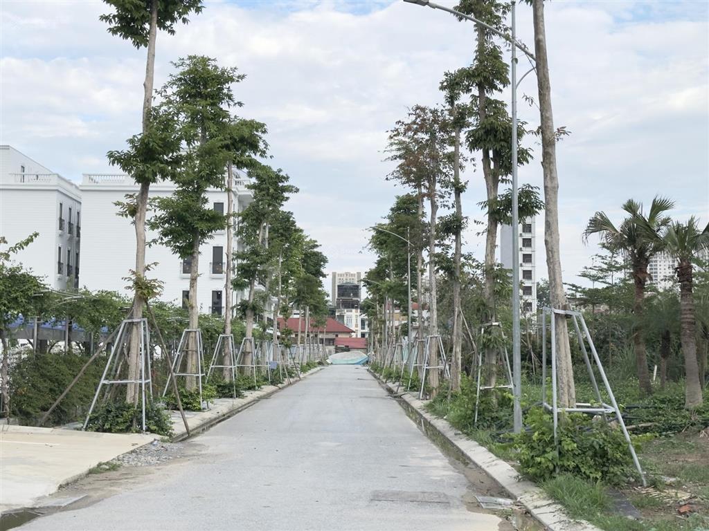Bán liền kề đường 24m dự án đấu giá đông dương, đức thượng