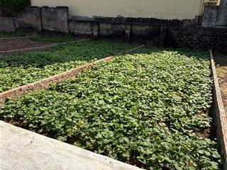 Bán đất tại xã thọ an, đan phượng, hà nội, 50 triệu / m2, 41.8 m2, hàng hiếm đẹp