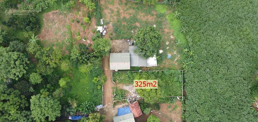 Bán đất 325m2 tại xã vân hòa, ba vì, hà nội, giá tốt