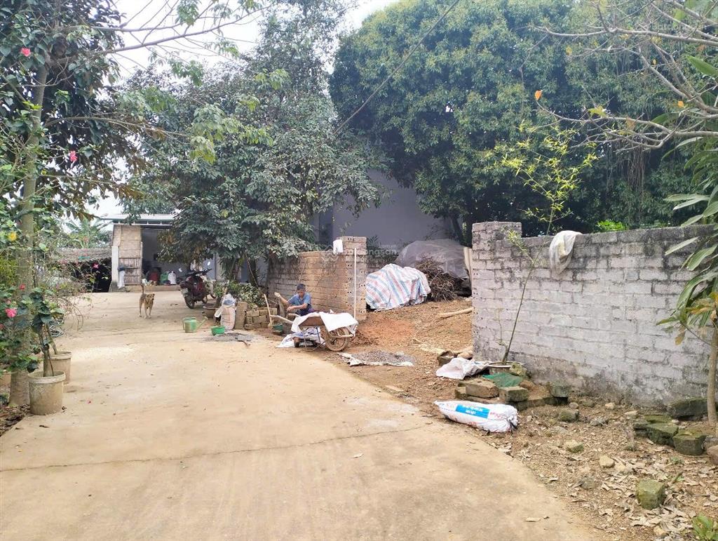 2.2 tỷ sở hữu lô đất 556m2 ngõ bê tông, ô tô vào đất cách cổng vqg ba vì 300m