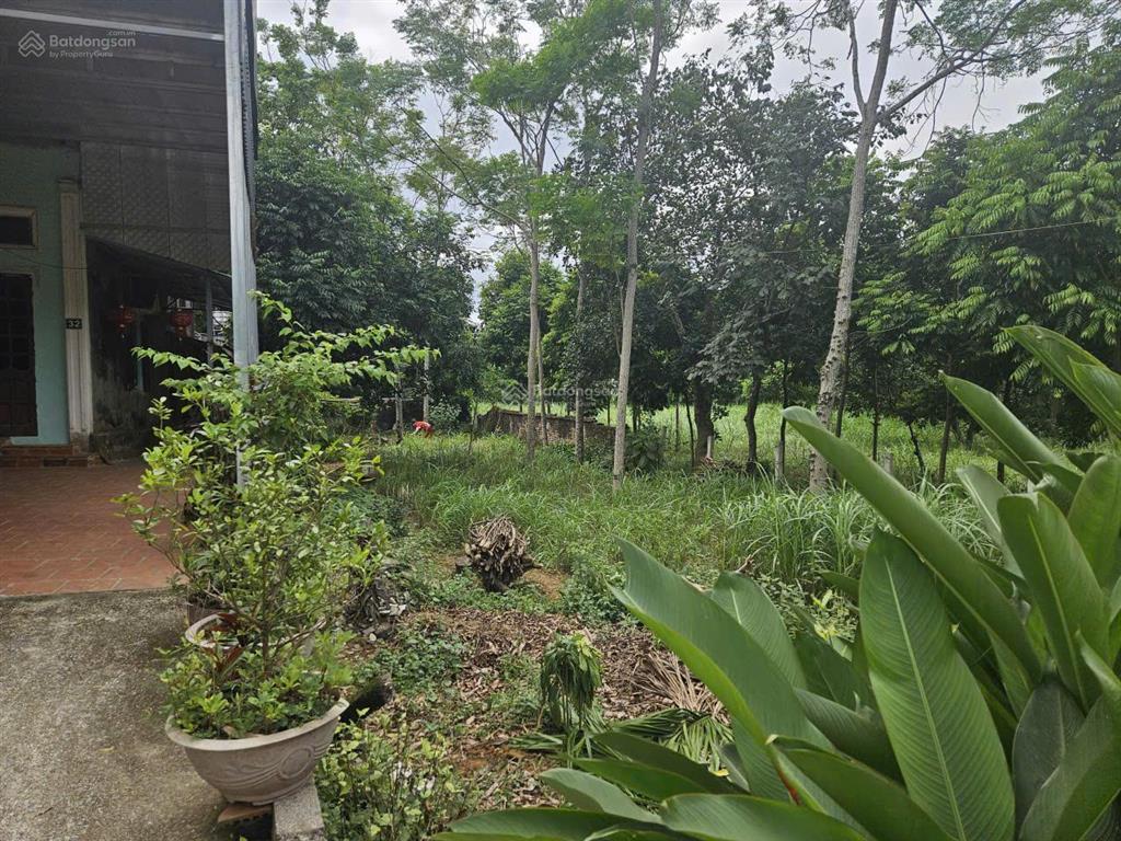 329m2 đất đẹp đường rộng vị trí trung tâm nghỉ dưỡng giá 2,9 tỷ