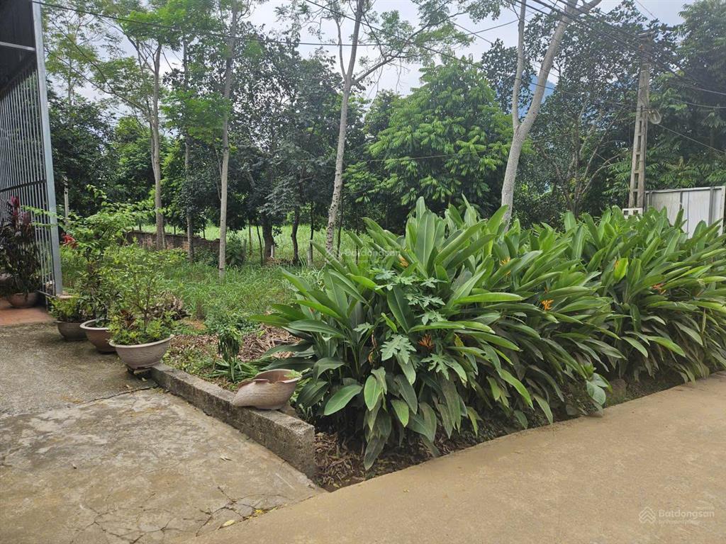 329m2 đất đẹp đường rộng vị trí trung tâm nghỉ dưỡng giá 2,9 tỷ