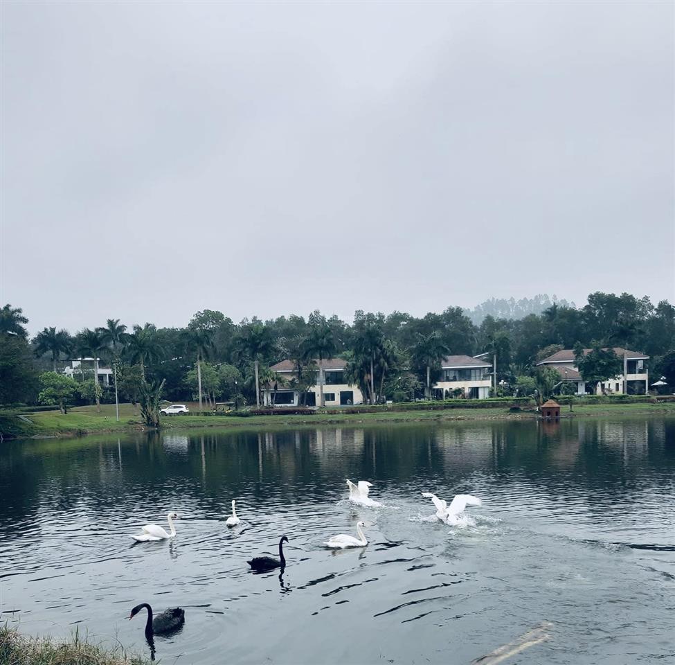 Bán biệt thự flamingo đại lải resort, 6pn, thang máy, view hồ thiên yến, nội thất đẹp, 447m2, 27 tỷ