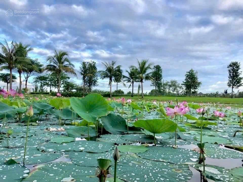 Chính chủ gửi bán nhà phố park riverside, 75m2, sổ hồng, nội thất đẹpcứng cáp, giá 11 tỷ