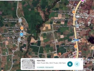 Bán 1900m2 ngay thôn 1, hàm đức, hàm thuận bắc, bình thận giá 1,5 tỷ
