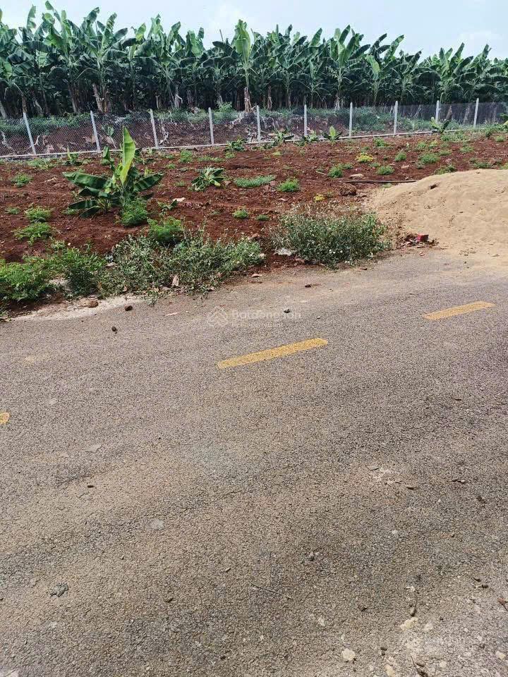 Bán đất 1 sẹc đường cây gáo, 690 triệu / lô. dt 100m2, trảng bom, đồng nai, giá tốt