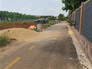 Bán đất 1 sẹc đường cây gáo, 690 triệu / lô. dt 100m2, trảng bom, đồng nai, giá tốt