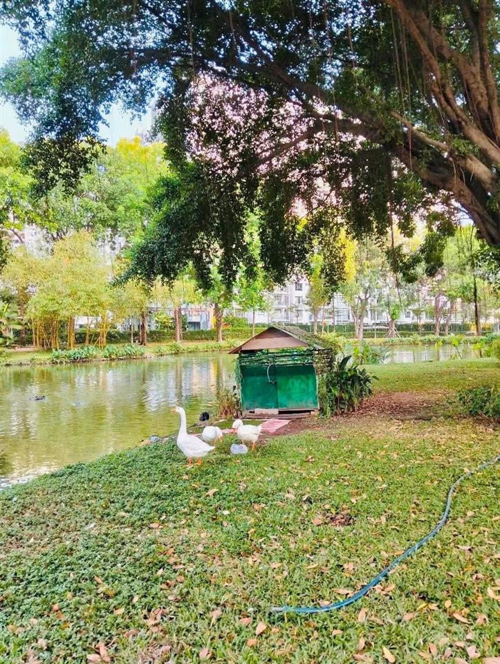 The glen celadon city ethư nhân viên cđt gamuda land mua giá gốc 22% n/nha tra chậm 3n c/khấu 29%