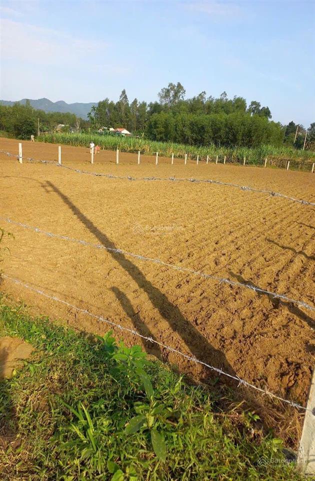 Chỉ 850 triệu có ngay lô đất trồng cây làm vườn. khu vực hòa nhơn. đất cao ráo sạch sẽ